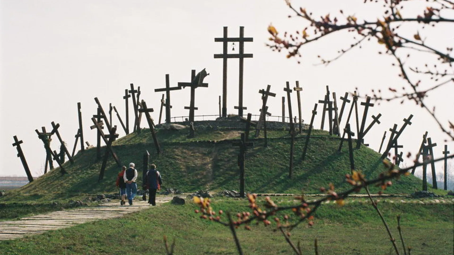 A Templárius alapítvány bemutatkozik