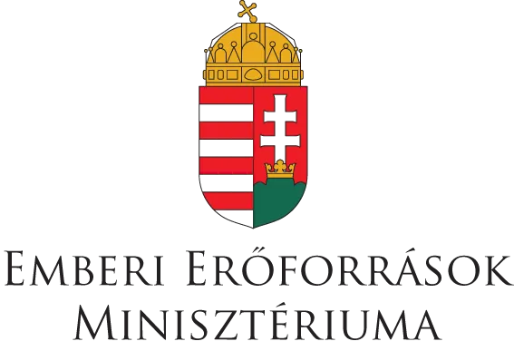 Egyedi támogatás